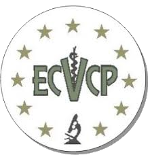 logo-ECVCP