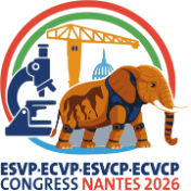 Nantes Logo
