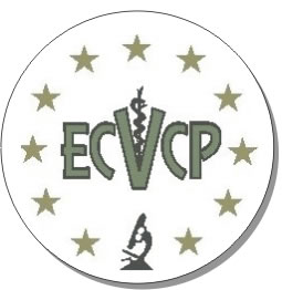 ecvcp